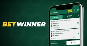 BetWinner Platform Elevating Online Betting Experience BetWinner Platform Elevating Online Betting Experience
