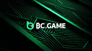 Comprehensive BC App Review Exploring Features, Benefits, and User Experience