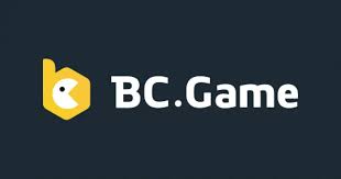 Comprehensive BC App Review Exploring Features, Benefits, and User Experience